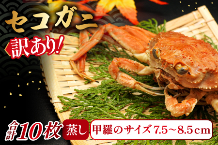 【蒸し】訳あり足折れご自宅用　日本海産親ガニ（セコガ二） 10枚【訳あり かに カニ 親ガニ セコガニ ずわいがに ズワイガニ 冷蔵 チルド ブランド 蒸し ボイル 足折れ 自宅用 国産 季節限定 お取り寄せ 鳥取県 日吉津村 日本海】