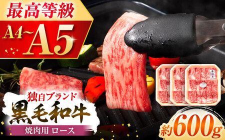 フジチク 藤彩牛 ロース 焼肉用 約600g ロースBHAD117