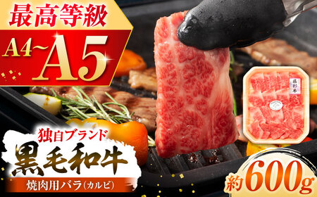 くまもと黒毛和牛 藤彩牛 バラ(カルビ)焼き肉用 約600g 焼肉  [BHAD122]