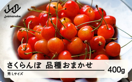 【先行予約】さくらんぼ 品種おまかせ 秀品 400g×1パック L玉 2026年産 令和8年産 山形県産 mm-saosx400