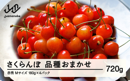 【先行予約】さくらんぼ 品種おまかせ 赤秀品 M玉 180g×4パック ご家庭用 2026年産 令和8年産 山形県産 mm-saoam720