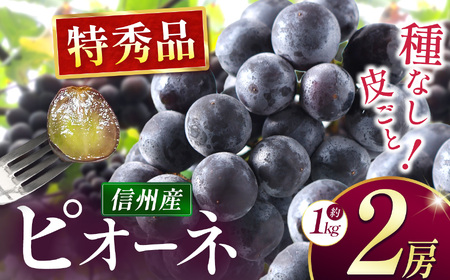 【先行受付】種なしピオーネ　2房（約1kg）