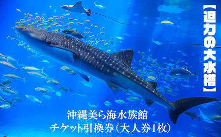 【迫力の大水槽】沖縄美ら海水族館　チケット引換券＜大人券1枚＞ 水族館 