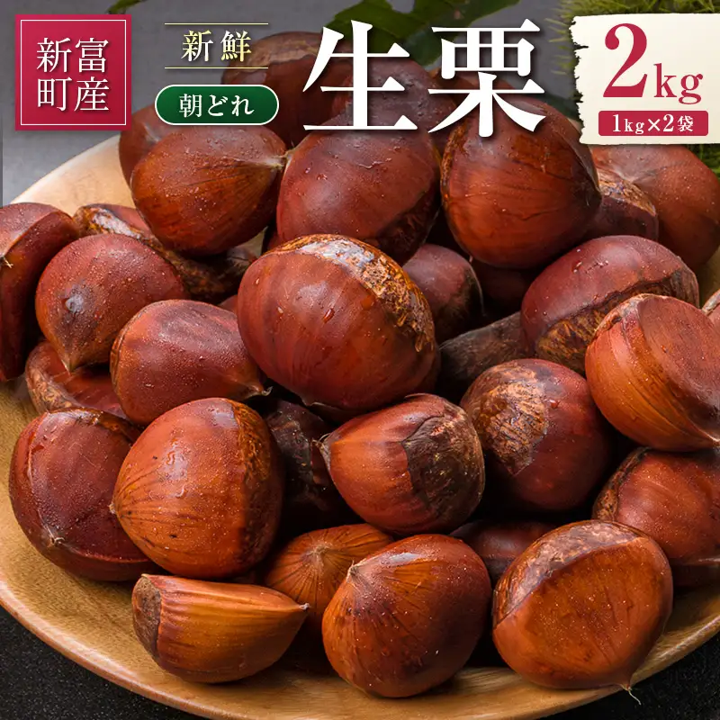 ＜2026出荷!!＞国産 新鮮朝どれ（生栗）2kg お取り寄せ 産地直送 宝珠栗 数量限定 宮崎県新富町産【B669-26】