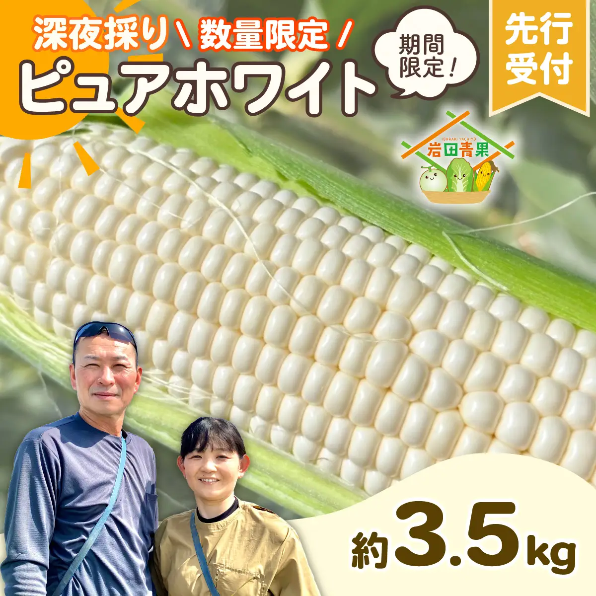 とうもろこし ピュアホワイト 3.5kg 茨城県産 トウモロコシ 深夜採り 朝出荷