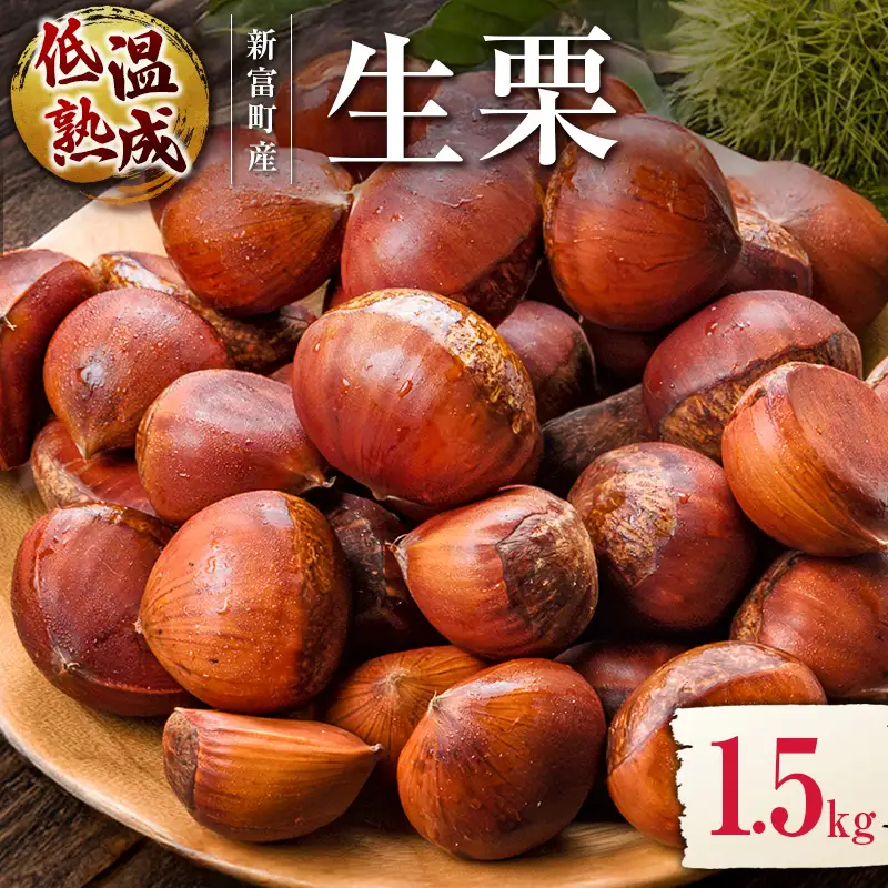 ＜2026出荷!!＞国産 低温熟成栗（生栗）1.5kg 熟成宝珠栗 産地直送 宮崎県新富町産【B672-26】