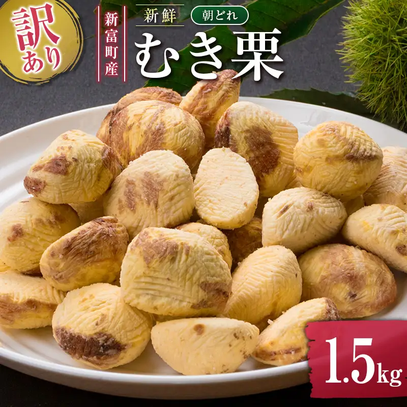 ＜2026出荷!!＞＜訳あり＞期間限定 国産 新鮮朝どれ（むき栗）1.5kg 産地直送 お取り寄せ 宝珠栗 宮崎県新富町産【C448-26】