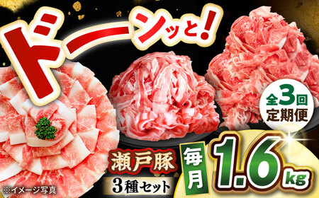 【全3回定期便】瀬戸豚3種セット計1.6kg豚肉 [BBBQ061] 豚肉 定期便
