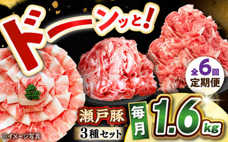 【全6回定期便】瀬戸豚3種セット計1.6kg 豚肉 [BBBQ062] 豚肉 定期便