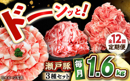 【全12回定期便】瀬戸豚3種セット計1.6kg 豚肉 [BBBQ063] 豚肉 定期便