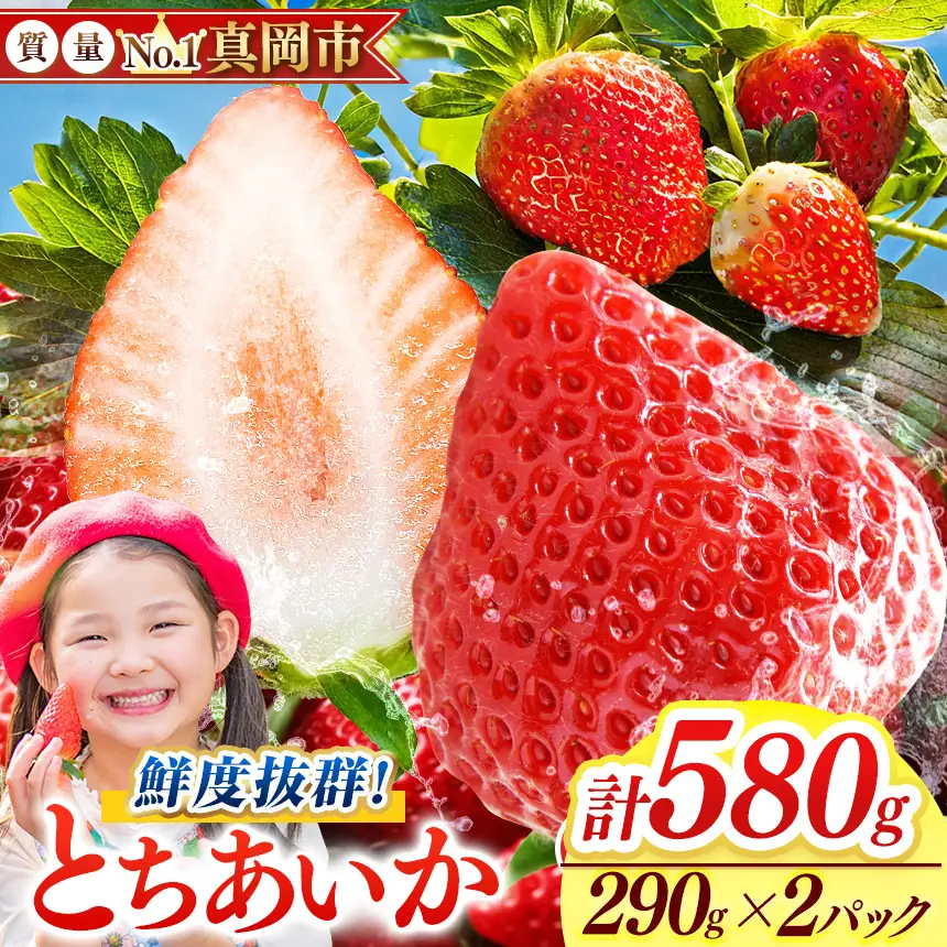 【2027年先行予約受付中！】鮮度抜群 とちあいか 1箱 (約290g×2) 約580g