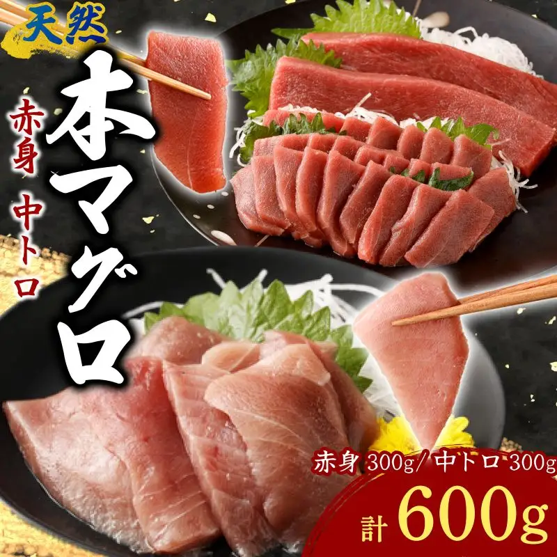 天然本マグロ切り落とし600g 【まぐろ】tk189