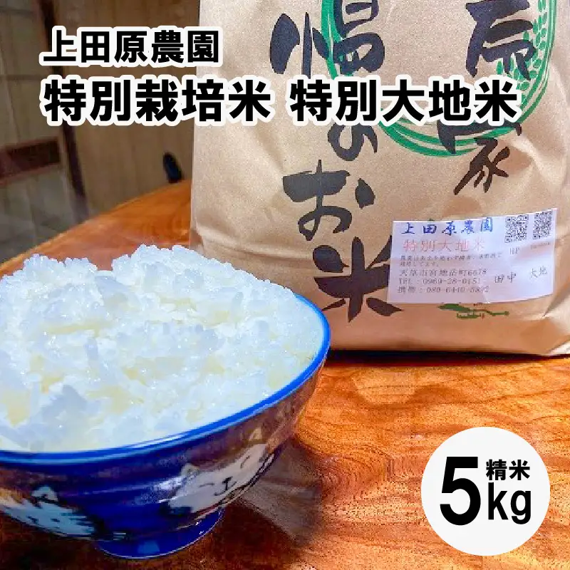 S051-004A_【令和8年産】特別栽培米 特別大地米 精米 5kg【先行受付】