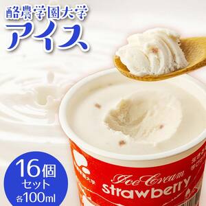 酪農学園大学アイス16個セット（各100ml） ｜ ジェラート ジェラート 乳製品   EB8-0135
