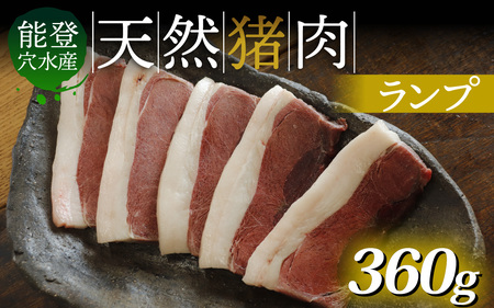 奥能登 穴水産 天然猪肉 ランプ 120g×3枚 計360g / ジビエ