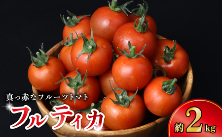 フルーツトマト〈約2kg〉 【トマト】