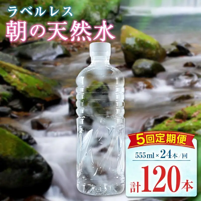 【定期便】 シリカ 朝の天然水 555ml 24本 5回 ラベルレス 中硬水 ミネラルウォーター シリカ水 ケイ素 常温保存 備蓄 防災 宮崎県 霧島連山