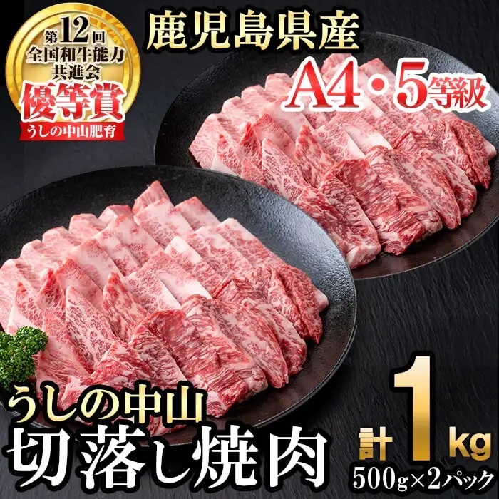 ＜A4・A5等級＞鹿児島県産黒毛和牛 うしの中山 切り落とし焼肉用 計1kg(500g×2P) 黒毛和牛 和牛 肉 牛肉 国産 九州産 鹿児島県産 焼肉 日本一 c4-015