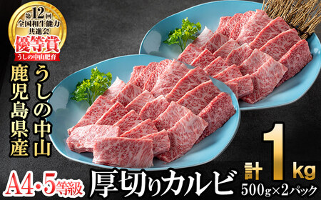 ＜A4・A5等級＞鹿児島県産黒毛和牛 うしの中山 焼き肉用厚切りカルビ 計1kg(500g×2P) 鹿児島県産 黒毛和牛 和牛 カルビ 肉 牛肉 国産 九州産 焼肉 BBQ 小分け A5 A4 日本一 ランキング 人気 c4-016