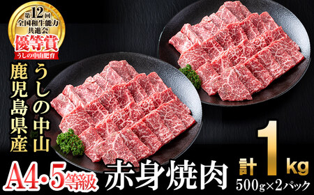 ＜A4・A5等級＞鹿児島県産黒毛和牛 うしの中山 赤身焼肉用 計1kg(500g×2P) 黒毛和牛 和牛 肉 牛肉 国産 九州産 鹿児島県産 焼肉 赤身 日本一 c8-034
