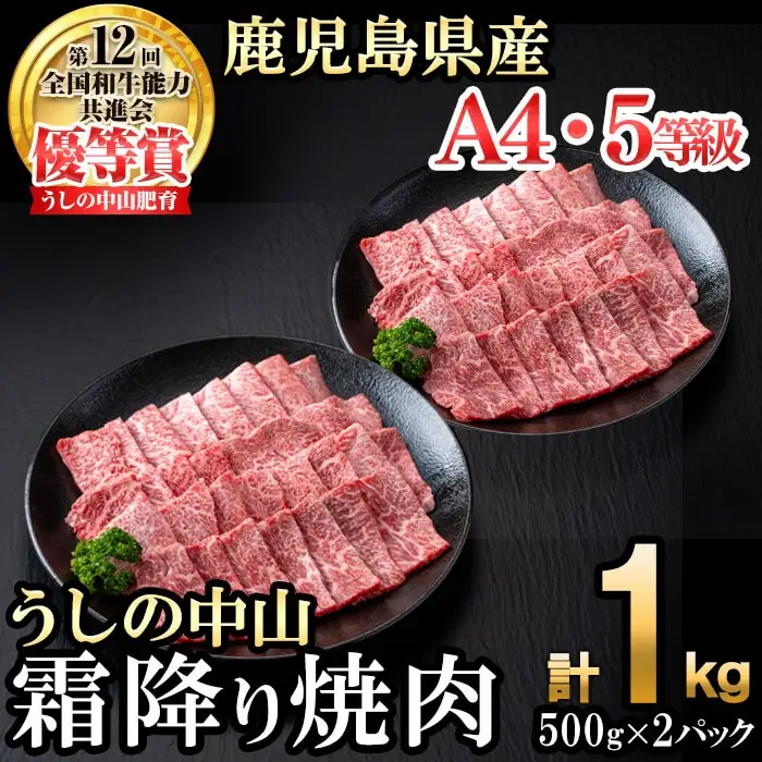 ＜A4・A5等級＞鹿児島県産黒毛和牛 うしの中山 霜降り焼肉用 計1kg(500g×2P) 黒毛和牛 和牛 肉 牛肉 国産 九州産 鹿児島県産 焼肉 霜降り 日本一 c9-005