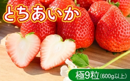 いちご とちあいか 極 9粒 ※2026年12月～発送