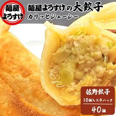 麺屋ようすけ大餃子10個入り×4袋【配送不可地域：離島】【1645303】