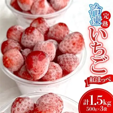 厳選　完熟冷凍いちご　愛知県新城産紅ほっぺ【500g×3袋】【配送不可地域：離島】【1548627】