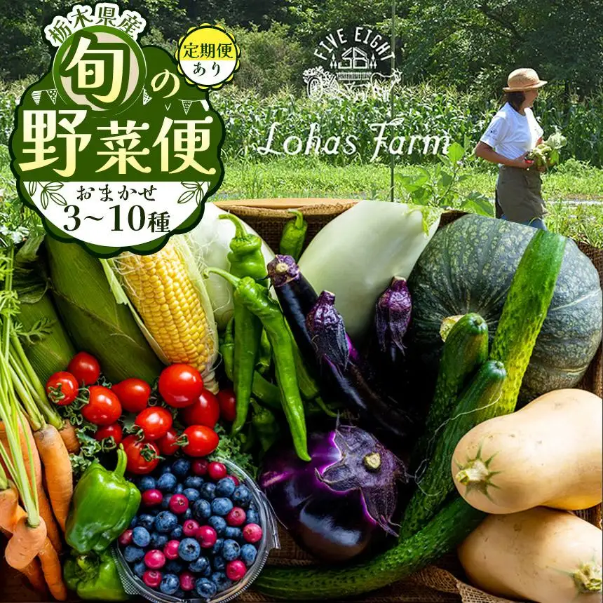 【先行予約】 栃木県産 旬の野菜 (果物) 便 3～10種 1回分