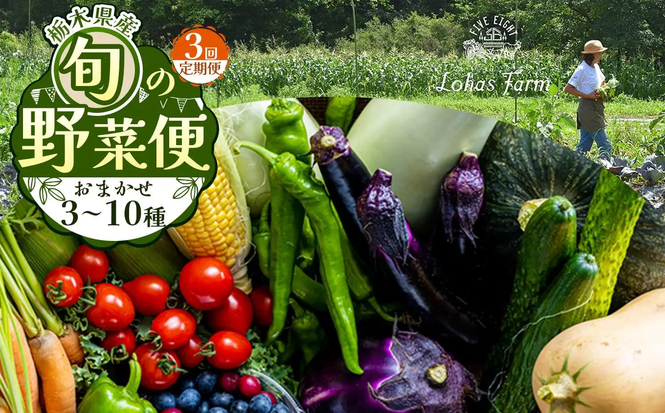 【定期便3回】【先行予約】栃木県産 旬の野菜 (果物) 便 3～10種 ×3回