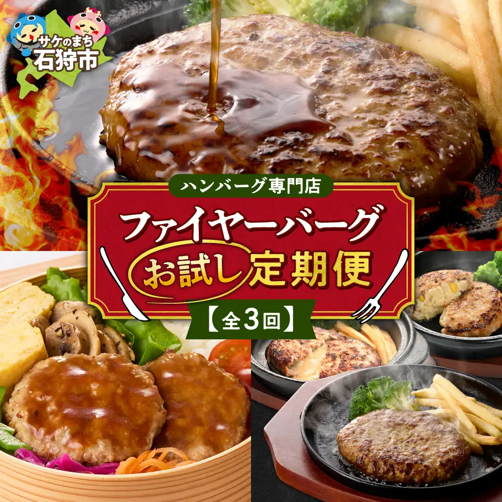 【定期便3回】ファイヤーバーグお試し定期便