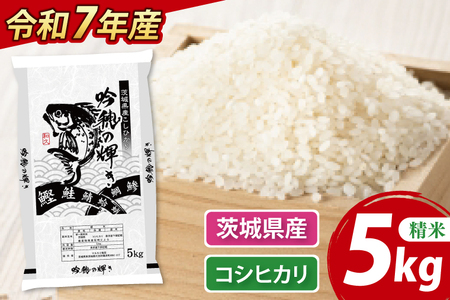 ＜令和７年産＞ コシヒカリ 5kg 精米 こしひかり 米 ごはん コメ お米 白米 国産 茨城県産_AR010