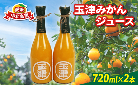 みかんジュース 720ml× 2本 玉津柑橘倶楽部 みかんジュース H010-072049