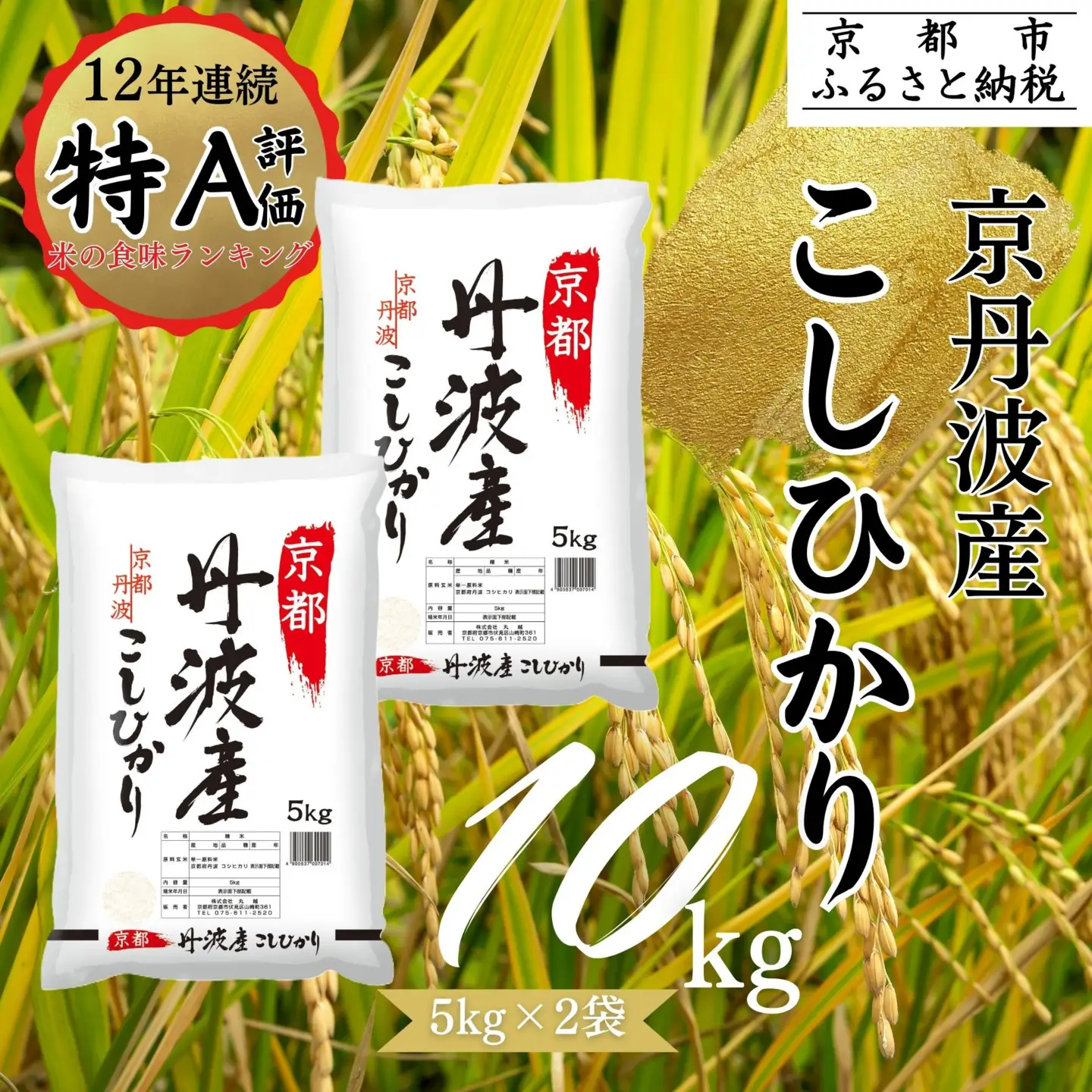 【令和7年産】京都丹波産こしひかり 10kg 白米 精米