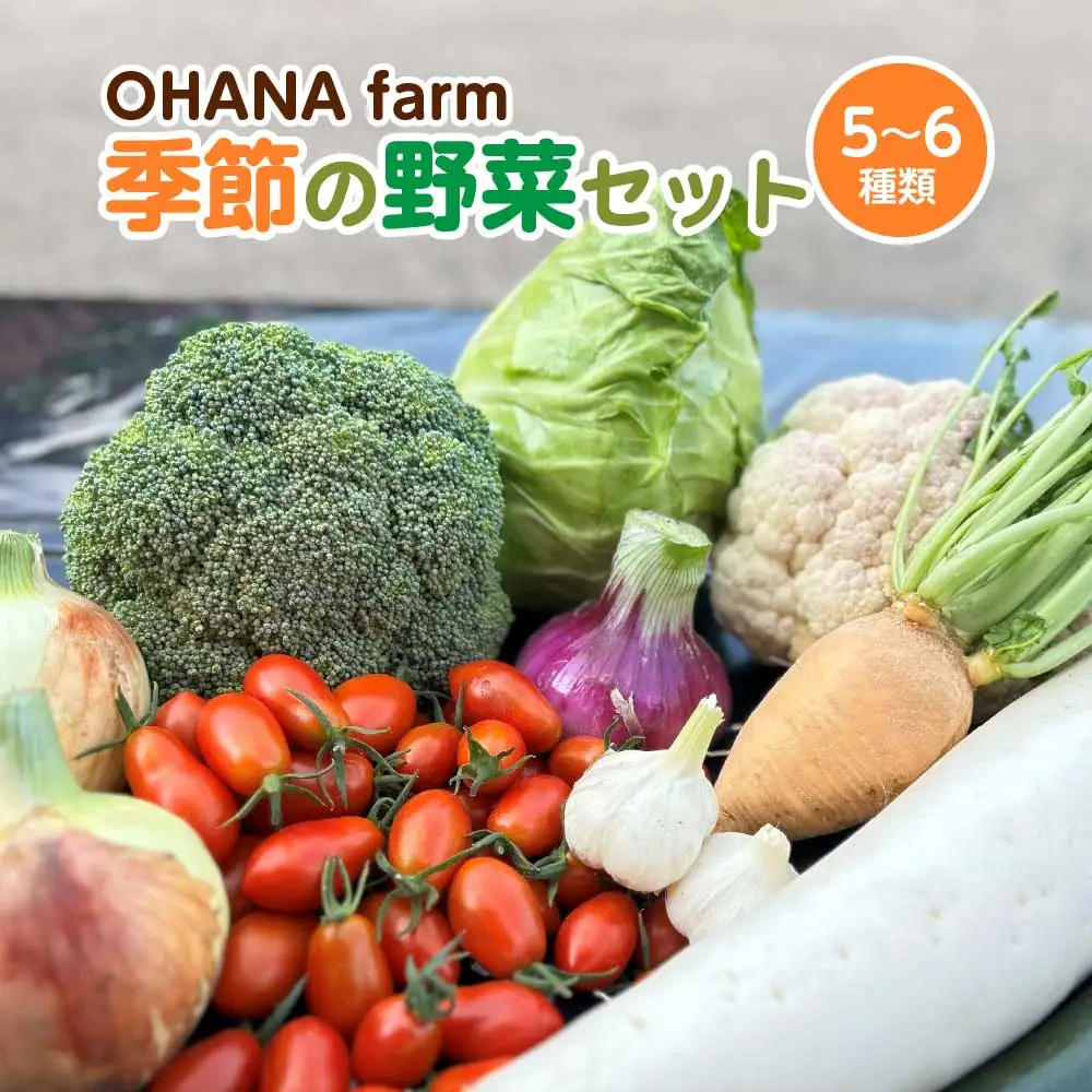 季節の野菜セット 5～6種類　【70P3207】