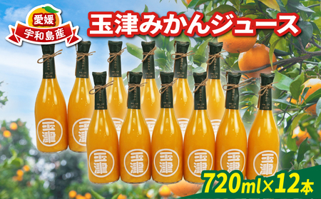 みかんジュース 720ml× 12本 玉津柑橘倶楽部 ジュース H040-072052