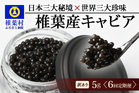 【6回定期便】【訳あり】HEIKE CAVIAR 5g × 6回 計30g 【世界三大珍味×日本三大秘境】 訳あり 宮崎 椎葉 国産 チョウザメ キャビア 定期便 魚卵 魚介 珍味 贈答 希少 SZ-115_6teiki