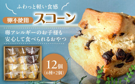 卵不使用スコーン12個セット(6種類×各2個)　日田市 / まるせ　詰め合わせ　卵アレルギー対応 焼き菓子[ARFH002]