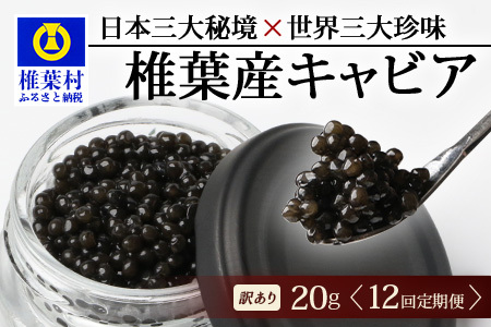 【12回定期便】【訳あり】HEIKE CAVIAR 20g × 12回 計240g 【世界三大珍味×日本三大秘境】 訳あり 宮崎 椎葉 国産 チョウザメ キャビア 定期便 魚卵 魚介 珍味 贈答 希少 SZ-117_12teiki