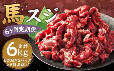 【6ヶ月 定期便】馬スジ 1kg（500g × 2パック） 合計 6kg 熊本県産 馬肉 馬 スジ スジ肉 国産 熊本 肉 すじ すじ肉 馬すじ