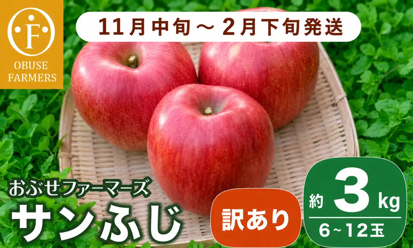 【訳あり】先行受付 サンふじ 約3kg 6～12玉［おぶせファーマーズ］ 不揃い 規格外 家庭用 りんご 林檎 リンゴ 果物 フルーツ ふじ 長野 信州 数量限定  【2026年11月中旬～2027年2月下旬発送】［FH-51］