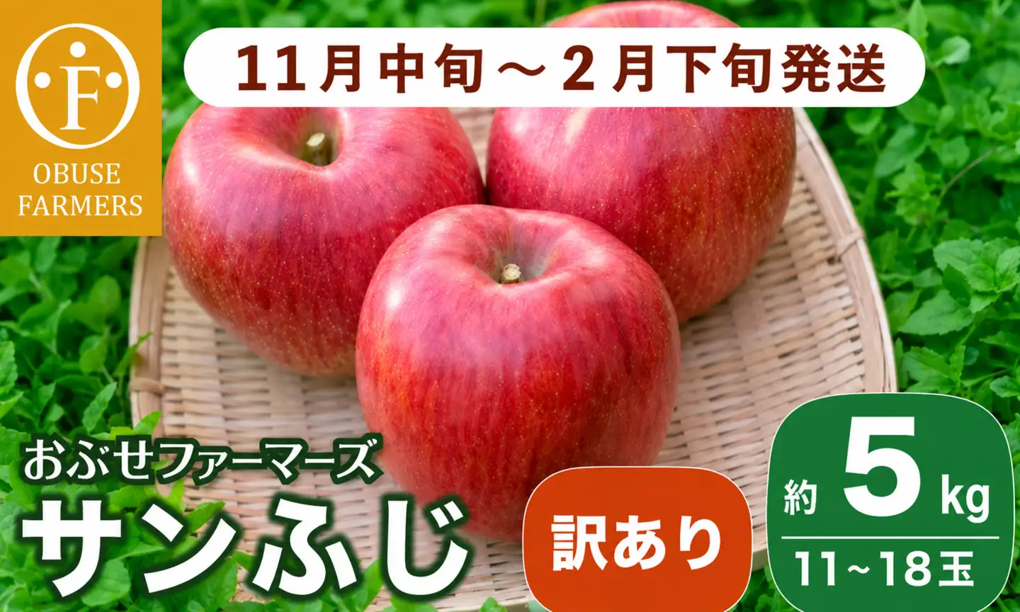 【訳あり】先行受付 サンふじ 約5kg 11～18玉［おぶせファーマーズ］  不揃い 規格外 家庭用 りんご 林檎 リンゴ 果物 フルーツ ふじ 長野 信州 数量限定 令和8年産 【2026年11月中旬～2027年2月下旬発送】［F-24］