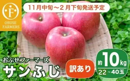 【訳あり】 サンふじ 約10kg 22～40玉［おぶせファーマーズ］不揃い 規格外 家庭用 りんご 林檎 リンゴ 果物 フルーツ ふじ 長野 信州 数量限定 令和8年産  【 2026年11月中旬～2027年2月下旬発送】［F-540］