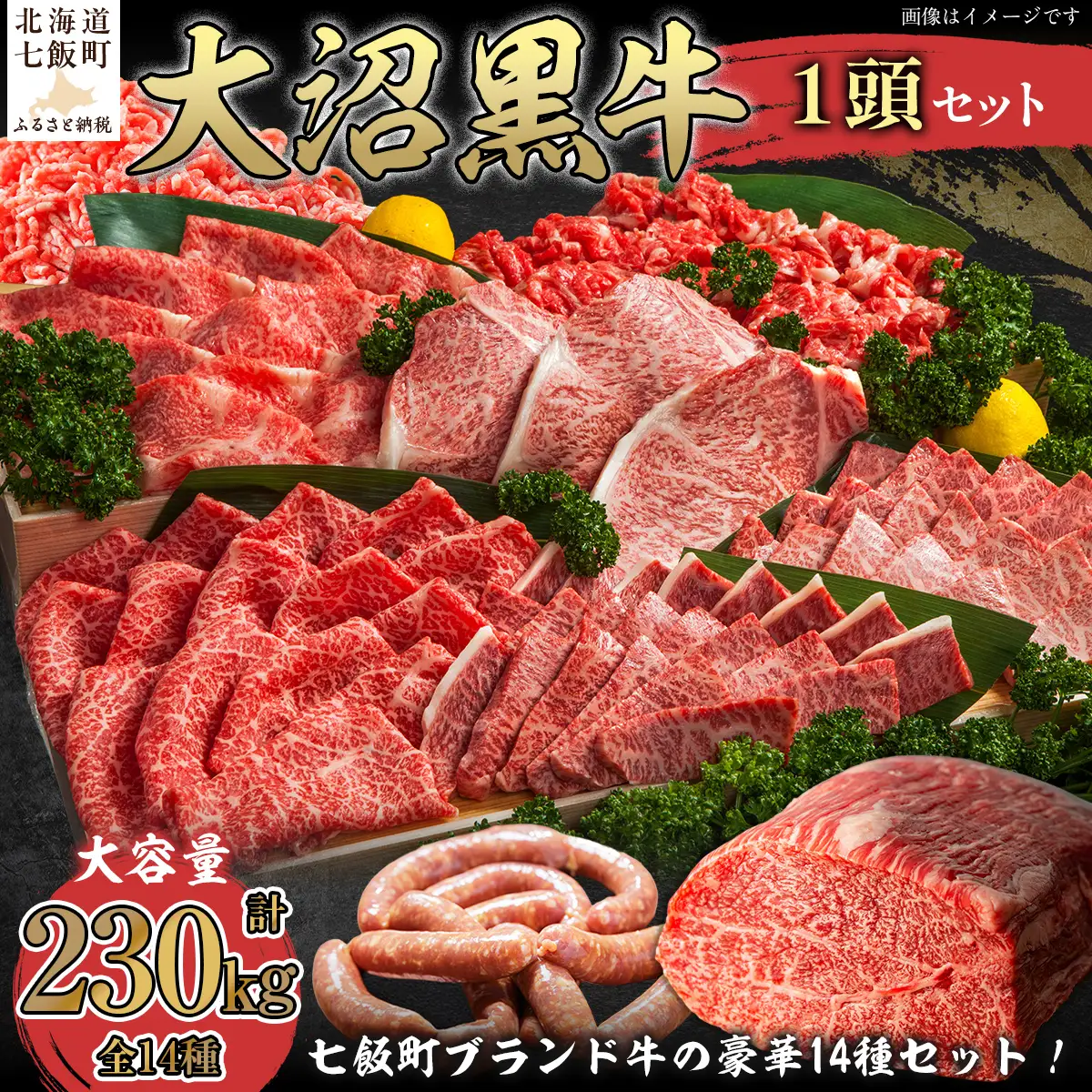 【北海道ブランド牛】大沼黒牛　1頭 NAM009