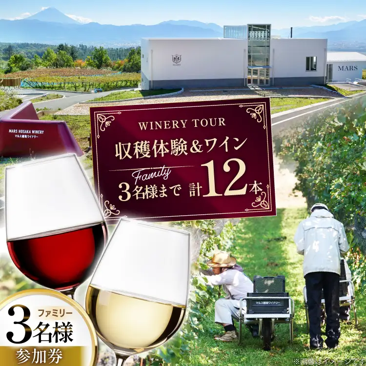 ワイン 収穫体験＆ワインセット 12本 ファミリー 3名様まで 参加券 ワイナリー [本坊酒造マルス穂坂ワイナリー 山梨県 韮崎市 20745175]