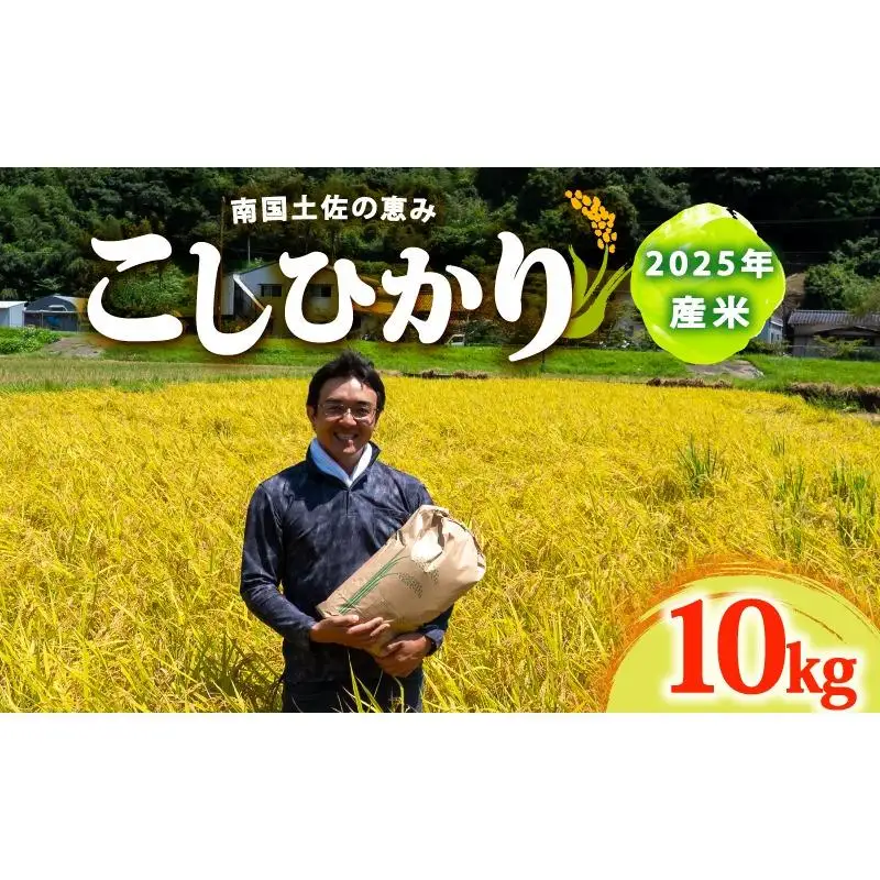 コシヒカリ10Kgコシヒカリコシヒカリコシヒカリ