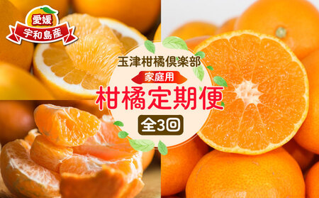 【みかん定期便】みかん定期便3回玉津柑橘倶楽部B030-072048