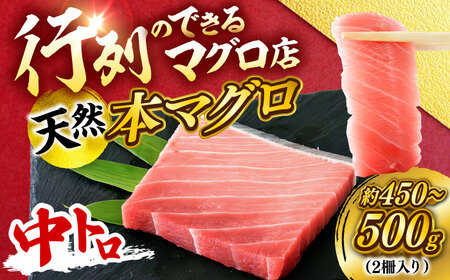 天然 本まぐろ 中トロ（約450~500g（2柵入り））  【横須賀商工会議所 おもてなしギフト事務局（本まぐろ直売所 横須賀本店）】[AKAK100]