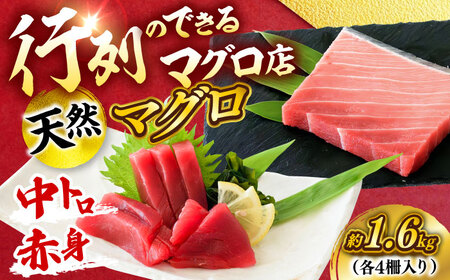 天然 まぐろ 中トロ＆赤身 各4柵（計約1.6kg）  【横須賀商工会議所 おもてなしギフト事務局（本まぐろ直売所 横須賀本店）】[AKAK117]