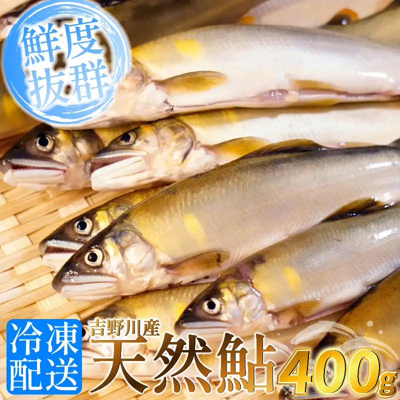 【先行予約】天然 鮎 400g 川魚 あゆ【 鮎 】